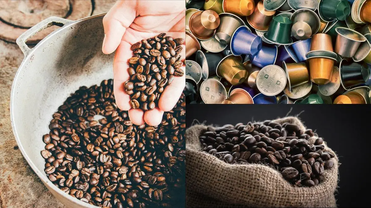 Så håller du dina kaffebönor färska – våra bästa tips! illustration