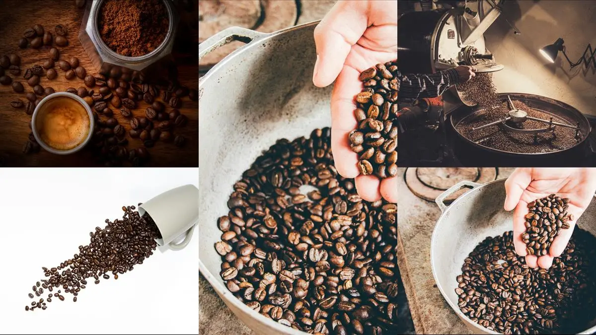 Så håller du dina kaffebönor fräscha illustration