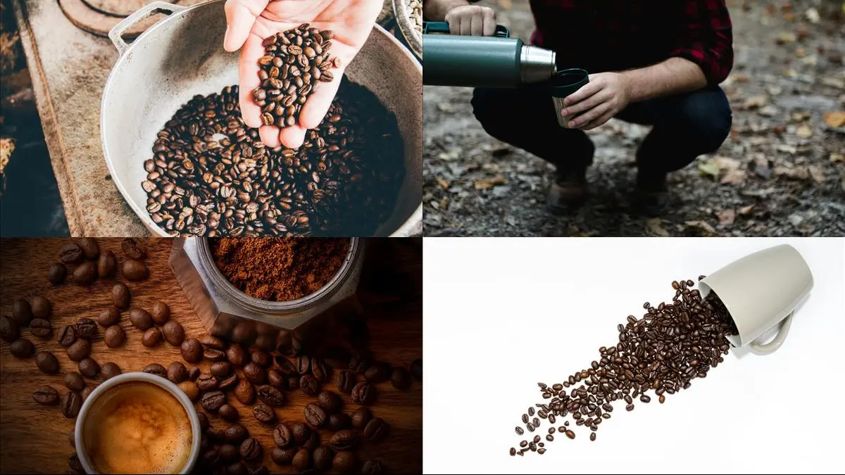 Så här håller du dina kaffebönor fräscha illustration