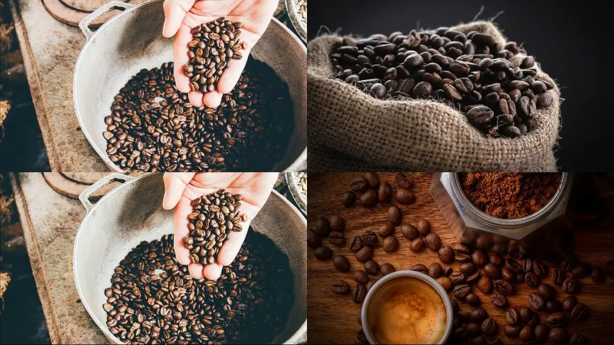 Så här håller du ditt kaffebönsförråd fräscht och smakrikt! illustration