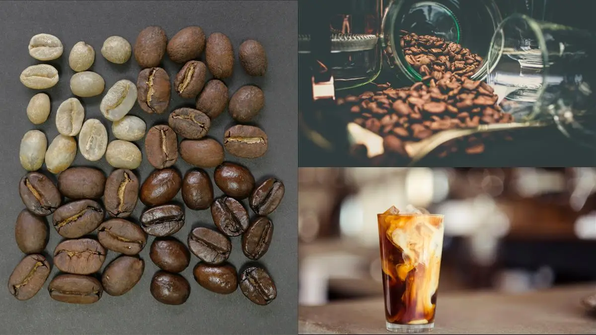 Upptäck de robusta kaffebönornas rika smakupplevelse illustration