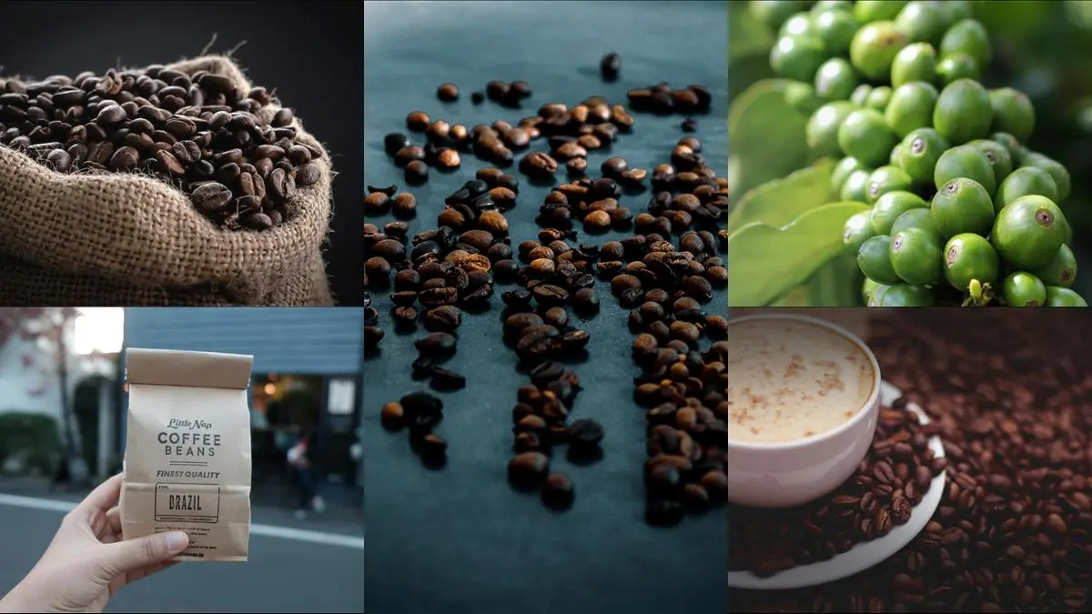 Upptäck den underbara smaken av colombianska kaffebönor illustration
