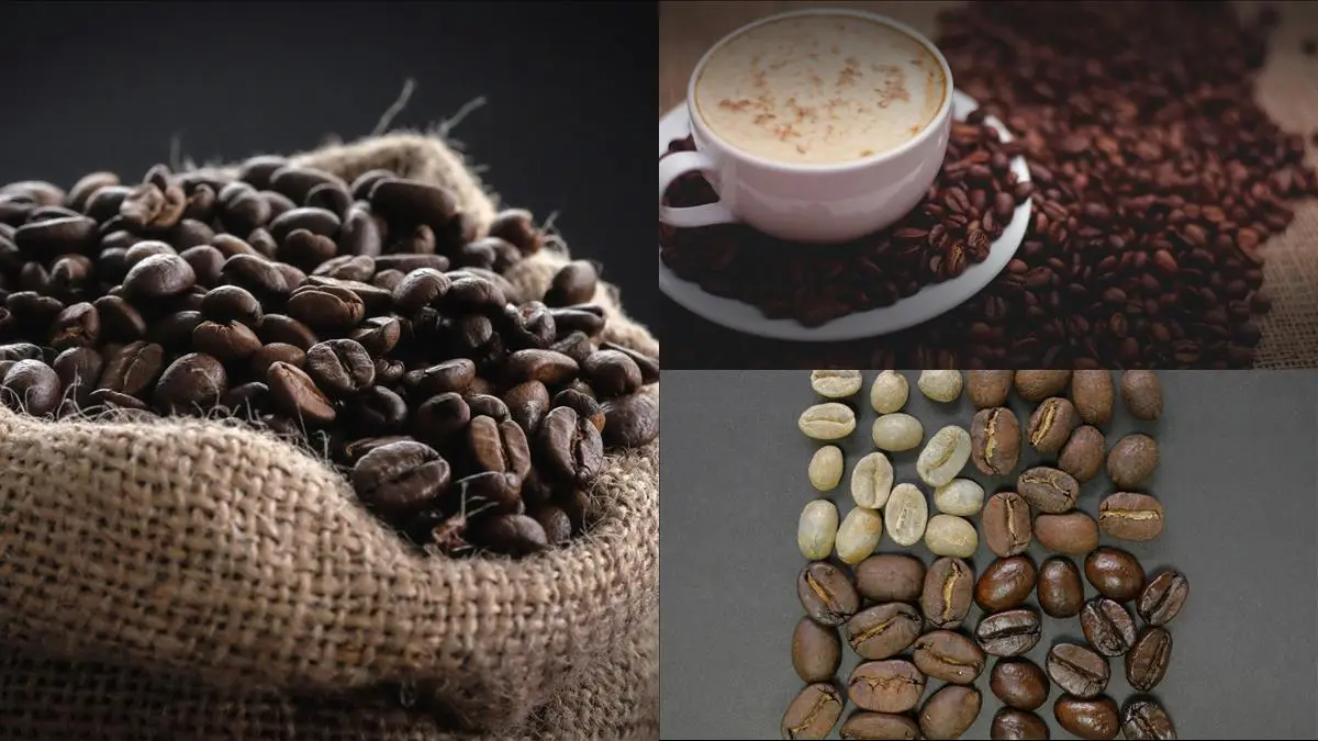 Upptäck smaken av kenyanska kaffebönor! illustration
